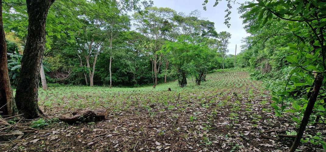 Venta de Terreno en Jocote Dulce  - Imagen 10