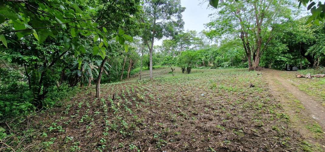 Venta de Terreno en Jocote Dulce  - Imagen 4