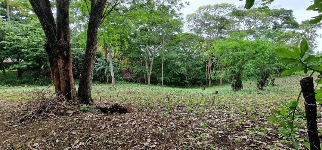 Venta de Terreno en Jocote Dulce  - Imagen 8