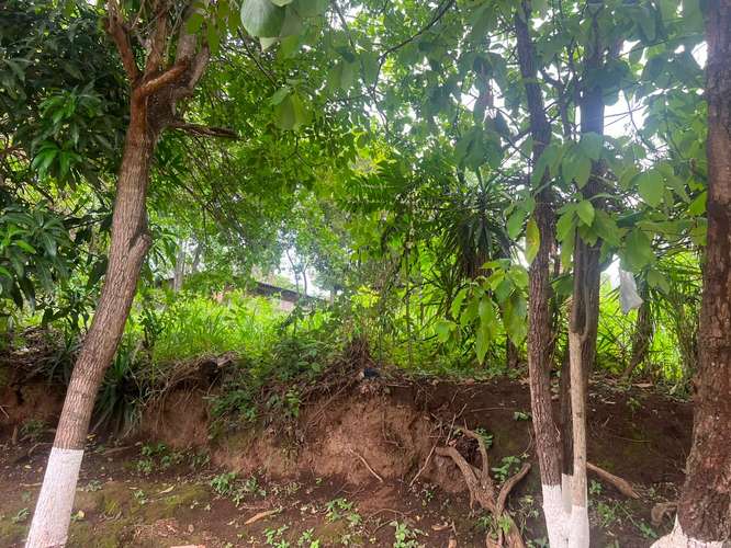 Venta de Terreno en Carretera Sur  - Imagen 18