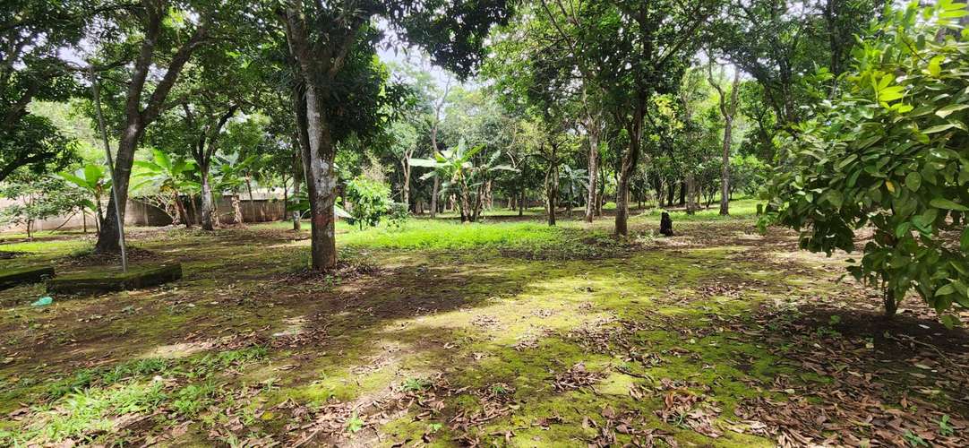 Venta de Quinta en San Marcos, Carazo  - Imagen 11