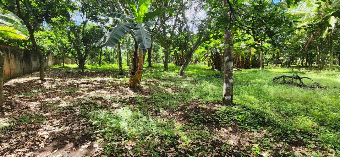 Venta de Quinta en San Marcos, Carazo  - Imagen 19