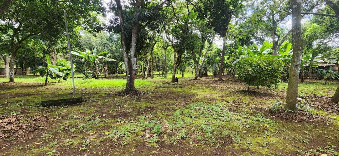 Venta de Quinta en San Marcos, Carazo  - Imagen 12
