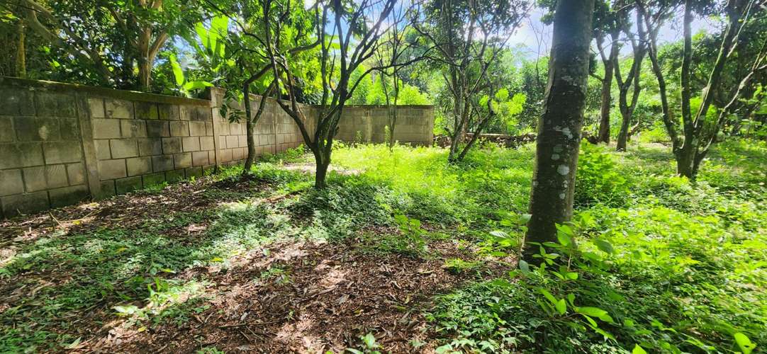 Venta de Quinta en San Marcos, Carazo  - Imagen 5