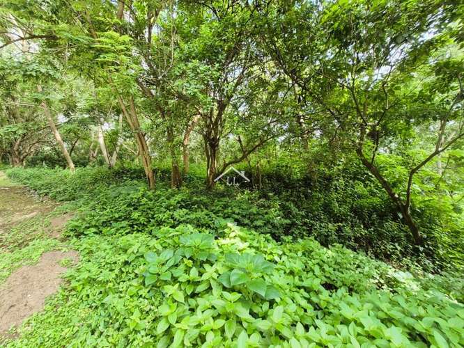 LL - Se Vende Terreno en Residencial en Balcones de Santo Domingo