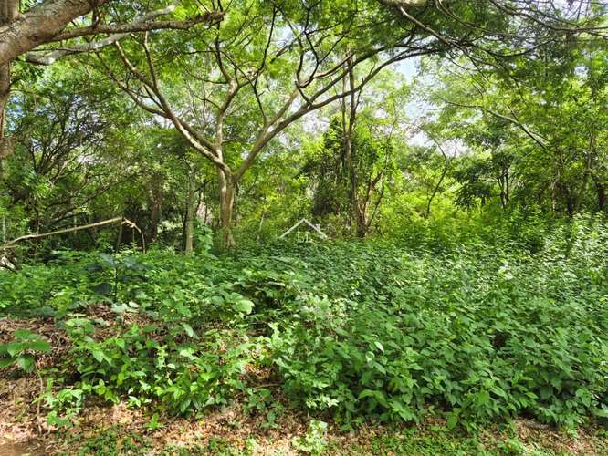 LL - Se Vende Terreno en Residencial en Balcones de Santo Domingo