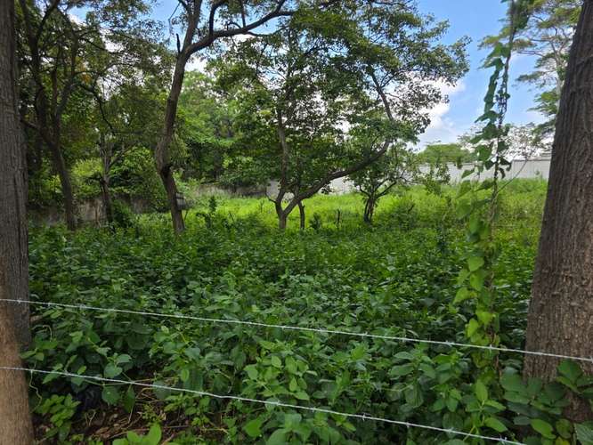 FP/HM TERRENO EN VENTA | Km 14.5 Carretera Sur – US$29,000 - Imagen 1