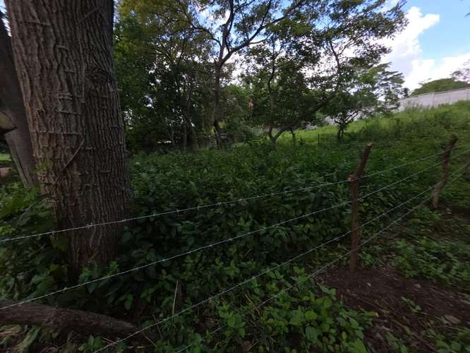 FP/HM TERRENO EN VENTA | Km 14.5 Carretera Sur – US$29,000 - Imagen 3