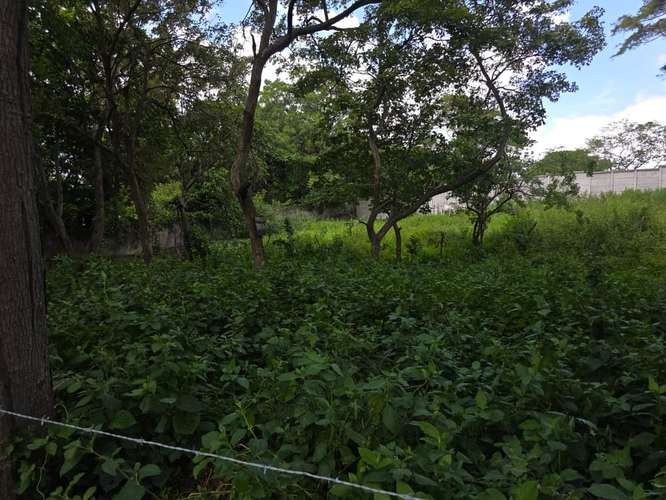 FP/HM TERRENO EN VENTA | Km 14.5 Carretera Sur – US$29,000 - Imagen 2