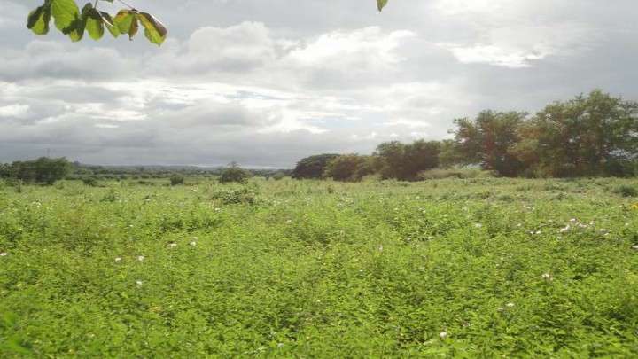 Venta de Terreno en Carretera a Veracruz  - Imagen 1