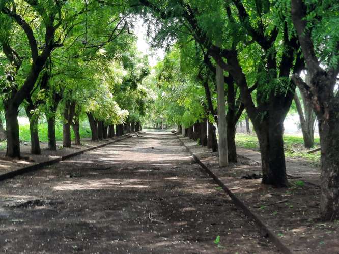 Venta de Terreno en Sabana Grande  - Imagen 4
