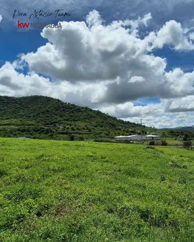 ¡En venta! 15,43mz beneficio de café operando, ubicado en Carretera Sébaco - Matagalpa. - Imagen 17