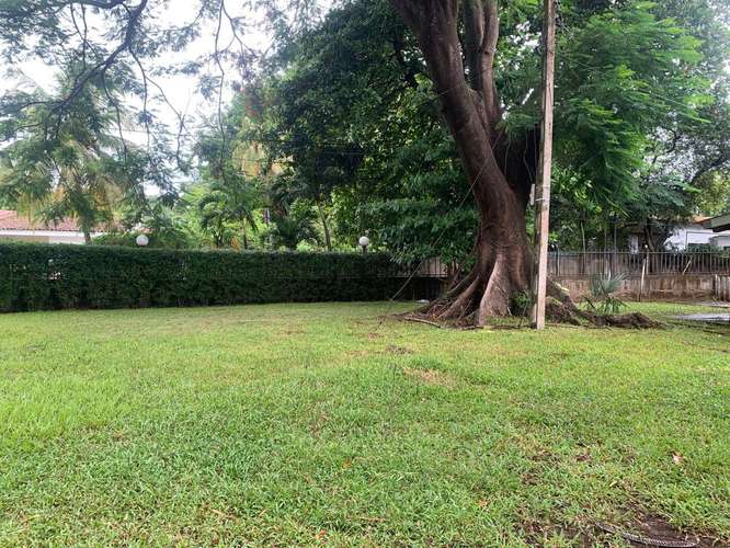 Venta de Terreno en Carretera a Masaya  - Imagen 5