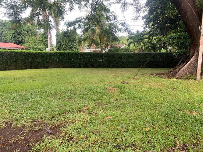 Venta de Terreno en Carretera a Masaya  - Imagen 3