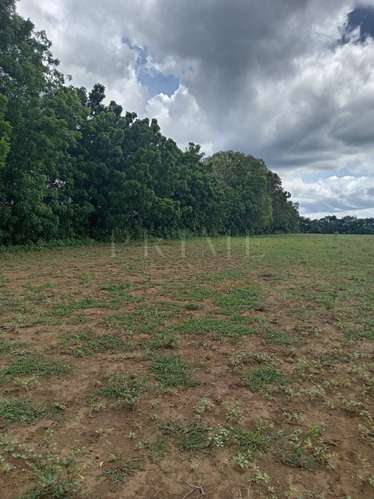 Terreno en venta en Santo Domingo