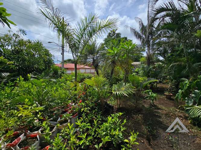 LOCAL COMERCIAL EN RENTA KM 13 CARRETERA A MASAYA