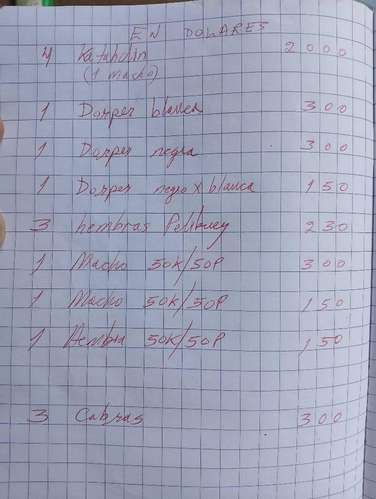 Ovejas y cabras - Imagen 11