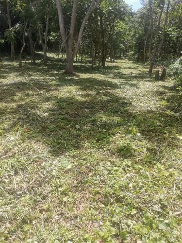 TERRENOS PARA QUINTA O CASA DE CAMPO - Imagen 3