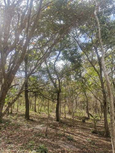 TERRENOS PARA QUINTA O CASA DE CAMPO - Imagen 5
