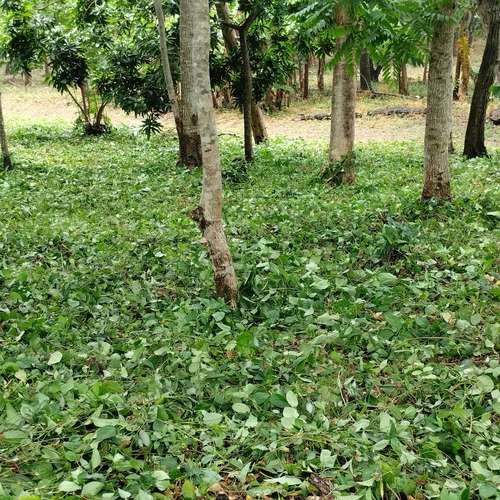 TERRENO EN VENTA – IDEAL PARA URBANIZAR