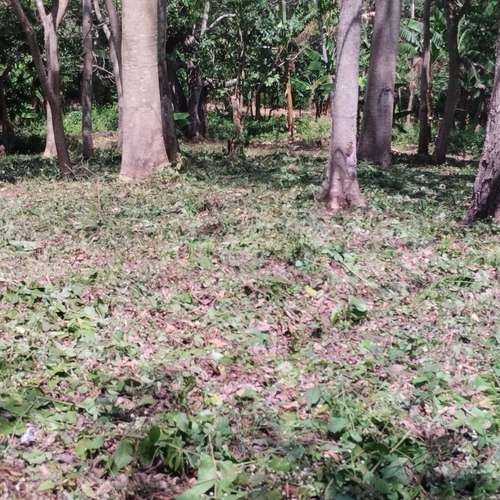 TERRENO EN VENTA – IDEAL PARA URBANIZAR