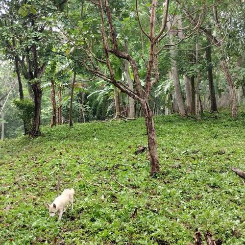  TERRENO EN VENTA – IDEAL PARA URBANIZAR