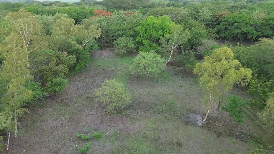 Los Cardones / Finca del Mar: terrenos desde US$29,000 cerca de Playa San Diego - Imagen 12