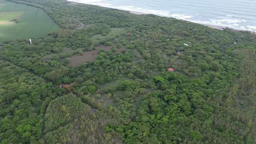 Los Cardones / Finca del Mar: terrenos desde US$29,000 cerca de Playa San Diego - Imagen 9