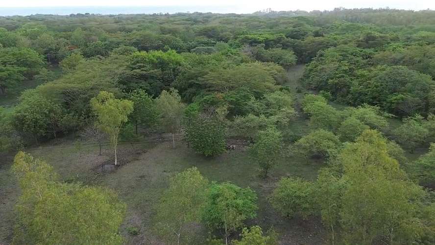 Los Cardones / Finca del Mar: terrenos desde US$29,000 cerca de Playa San Diego - Imagen 10