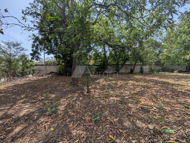 Terreno en venta en Nindirí, Masaya, con 14100 m² y acceso a carretera - Imagen 15