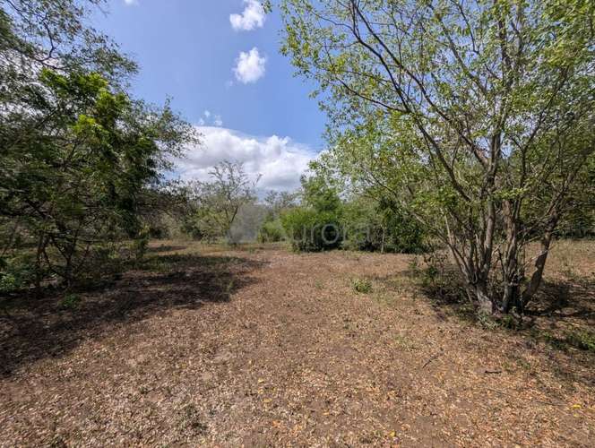 Terreno en venta en Nindirí, Masaya, con 14100 m² y acceso a carretera - Imagen 2
