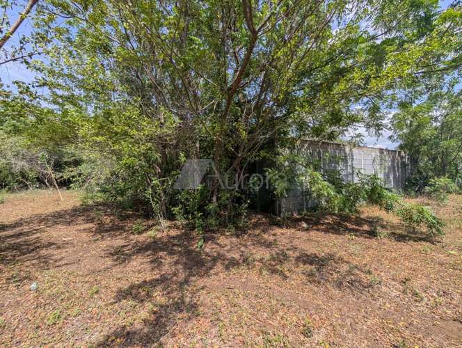 Terreno en venta en Nindirí, Masaya, con 14100 m² y acceso a carretera - Imagen 3