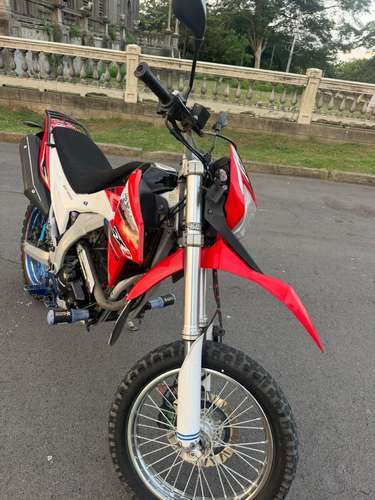Vendo genesis sx3 250 - Imagen 2