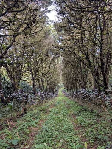 Finca en Matagalpa sobre carretera a Jinotega, con vistas panorámicas a las montañas ideal para retirarse
