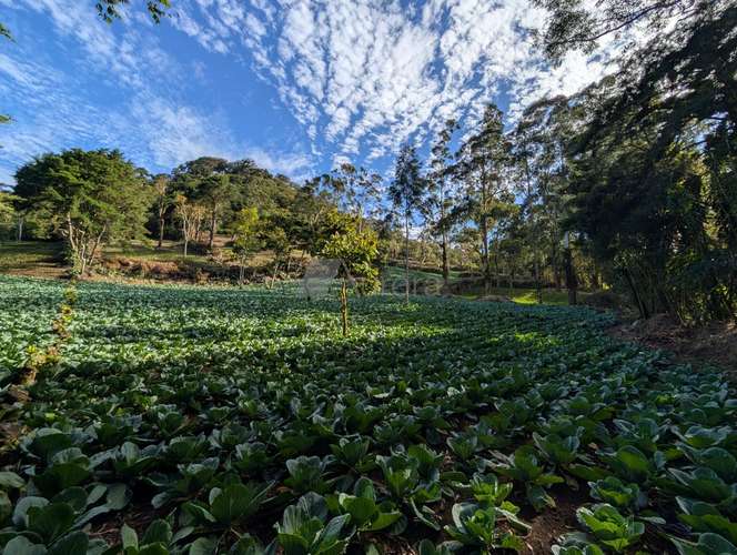 Finca en Matagalpa sobre carretera a Jinotega, con vistas panorámicas a las montañas ideal para retirarse