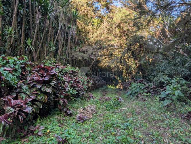 Finca en Matagalpa sobre carretera a Jinotega, con vistas panorámicas a las montañas ideal para retirarse