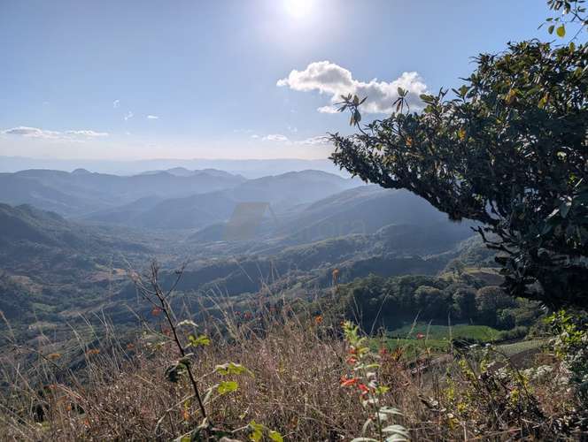Finca en Matagalpa sobre carretera a Jinotega, con vistas panorámicas a las montañas ideal para retirarse