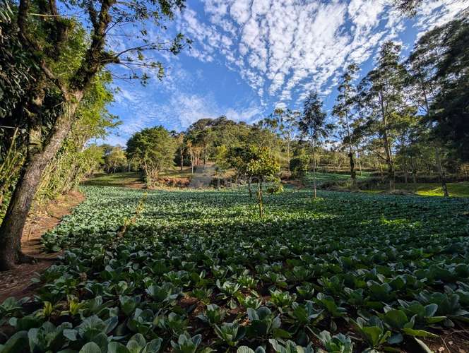 Finca en Matagalpa sobre carretera a Jinotega, con vistas panorámicas a las montañas ideal para retirarse