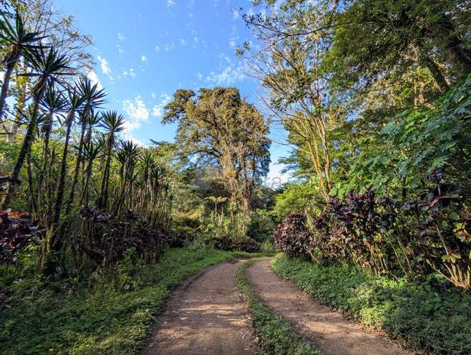 Finca en Matagalpa sobre carretera a Jinotega, con vistas panorámicas a las montañas ideal para retirarse