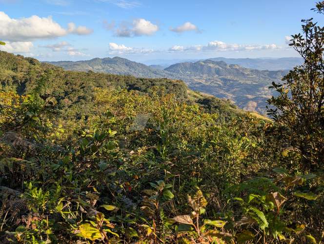 Finca en Matagalpa sobre carretera a Jinotega, con vistas panorámicas a las montañas ideal para retirarse