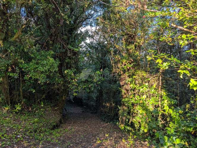 Finca en Matagalpa sobre carretera a Jinotega, con vistas panorámicas a las montañas ideal para retirarse