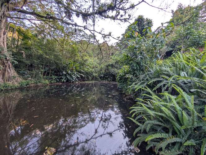 Finca en Matagalpa sobre carretera a Jinotega, con vistas panorámicas a las montañas ideal para retirarse