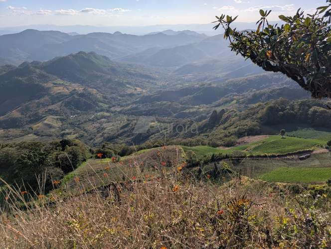 Finca en Matagalpa sobre carretera a Jinotega, con vistas panorámicas a las montañas ideal para retirarse