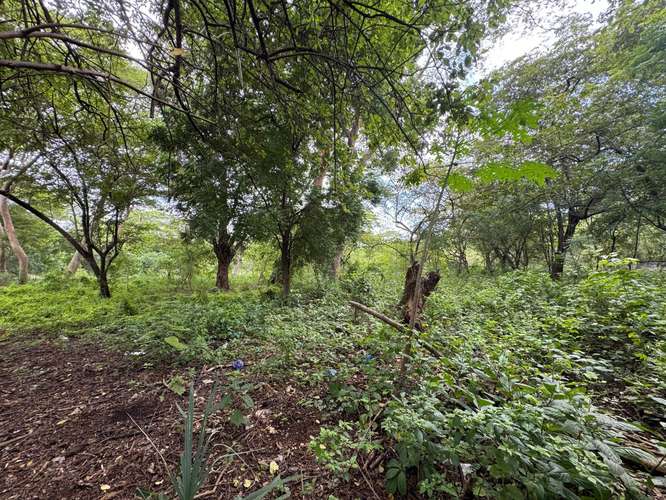 Venta de Terreno en Masachapa 