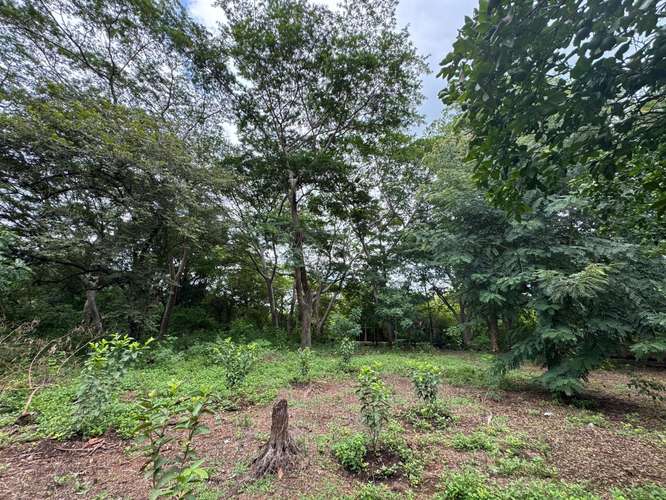 Venta de Terreno en Masachapa 