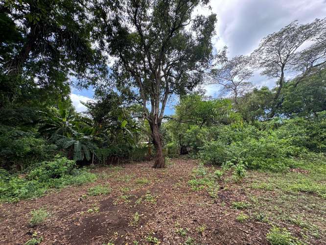 Venta de Terreno en Masachapa 