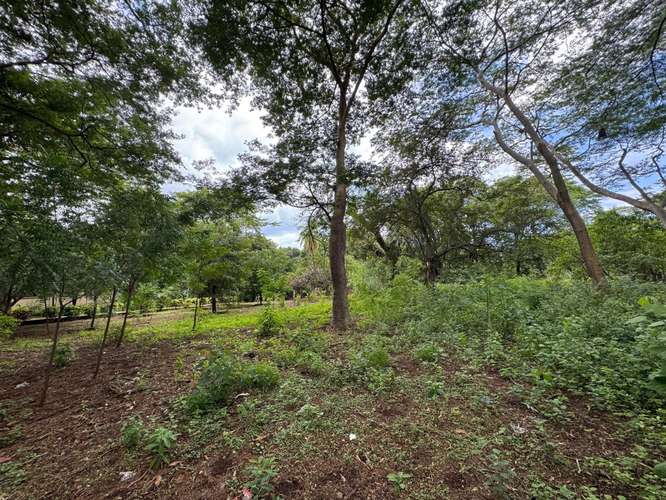 Venta de Terreno en Masachapa 