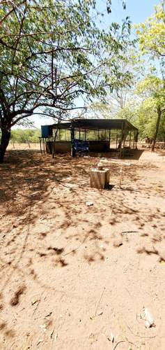 Venta Finca  - Imagen 8