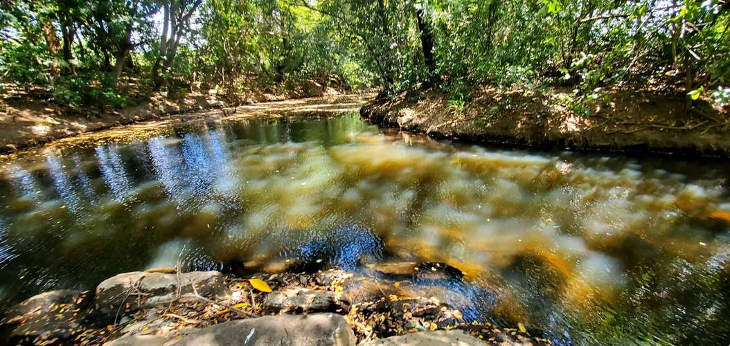 Venta Finca  - Imagen 3