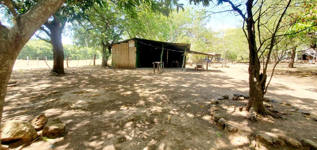 Venta Finca  - Imagen 19